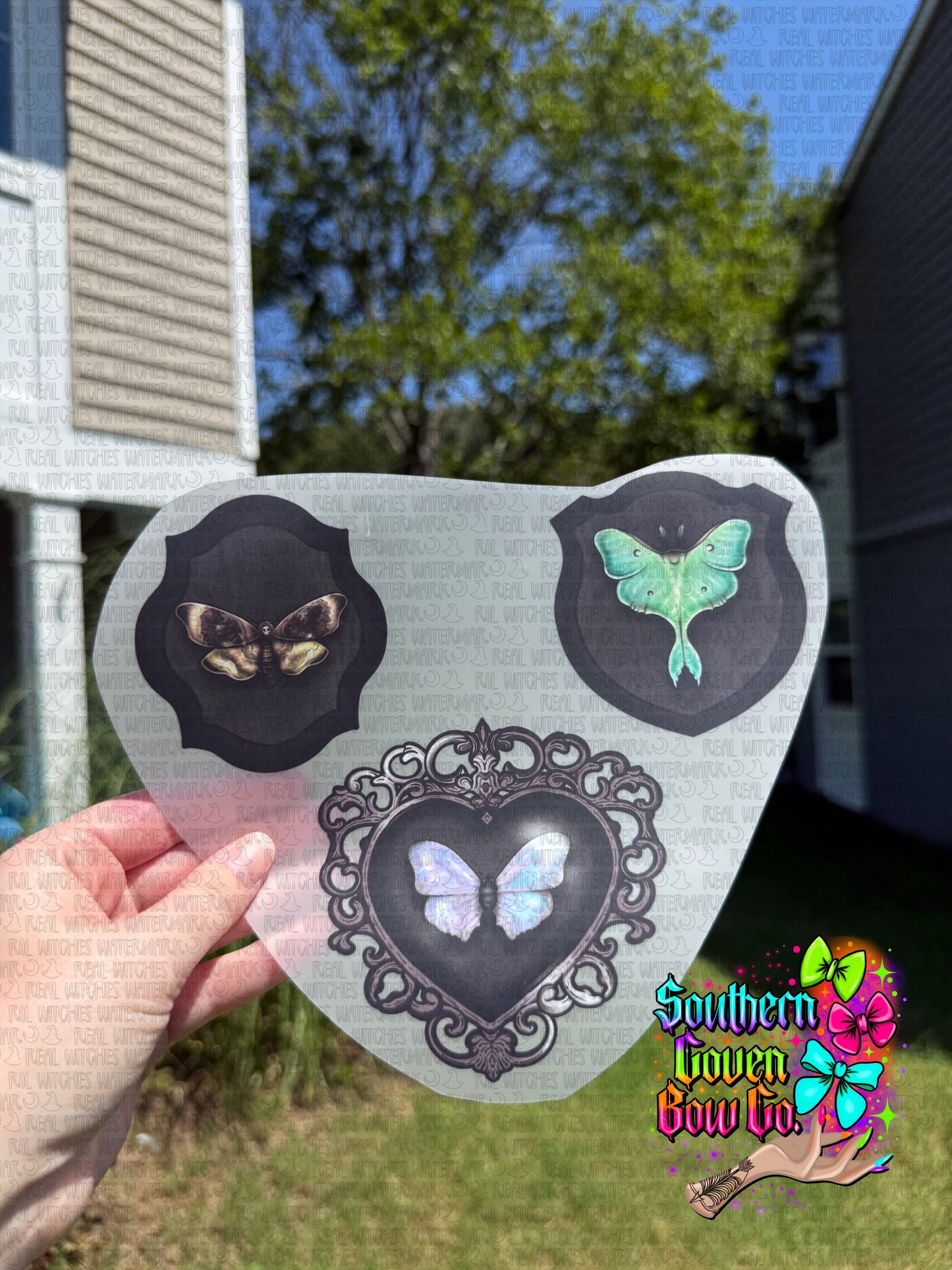 Luna Moth Frames - Toddler